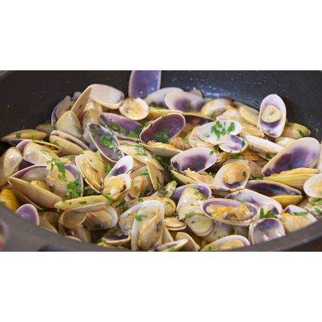 TELLINAS ( COQUINAS )