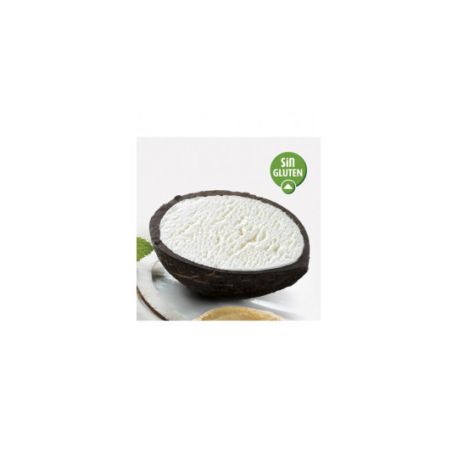 COCO HELADO